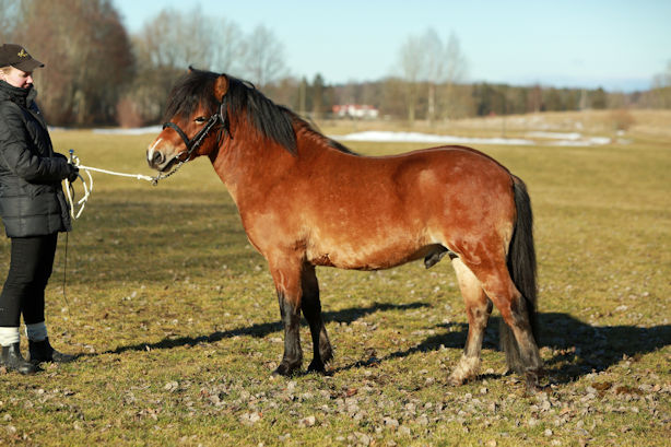 Ingen bild tillgänglig