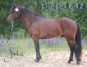 diesel-120705-025