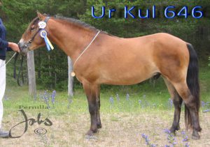 urkul-120705-063