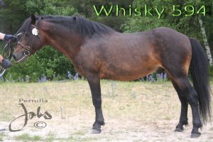 whisky-120705-088