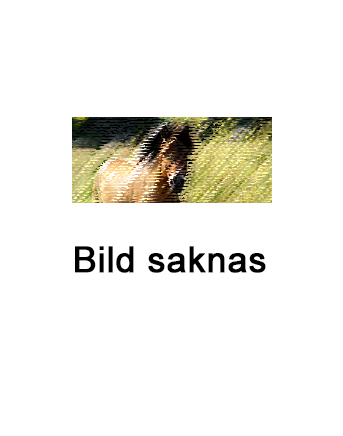 Ingen bild tillgänglig