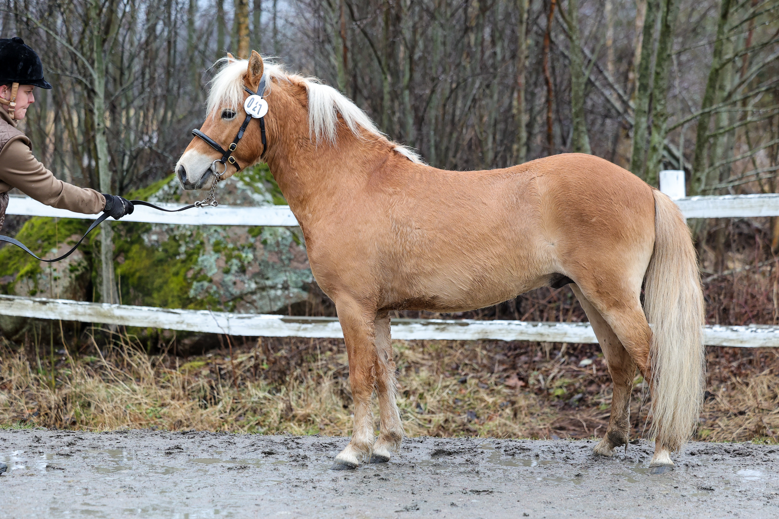 Ingen bild tillgänglig
